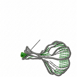 Garlic Embroidery Design 6 Garlic Embroidery Design 6